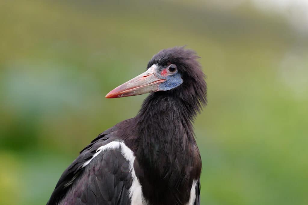 vNHgtxGLbk5SdPgw3eV7gD 1