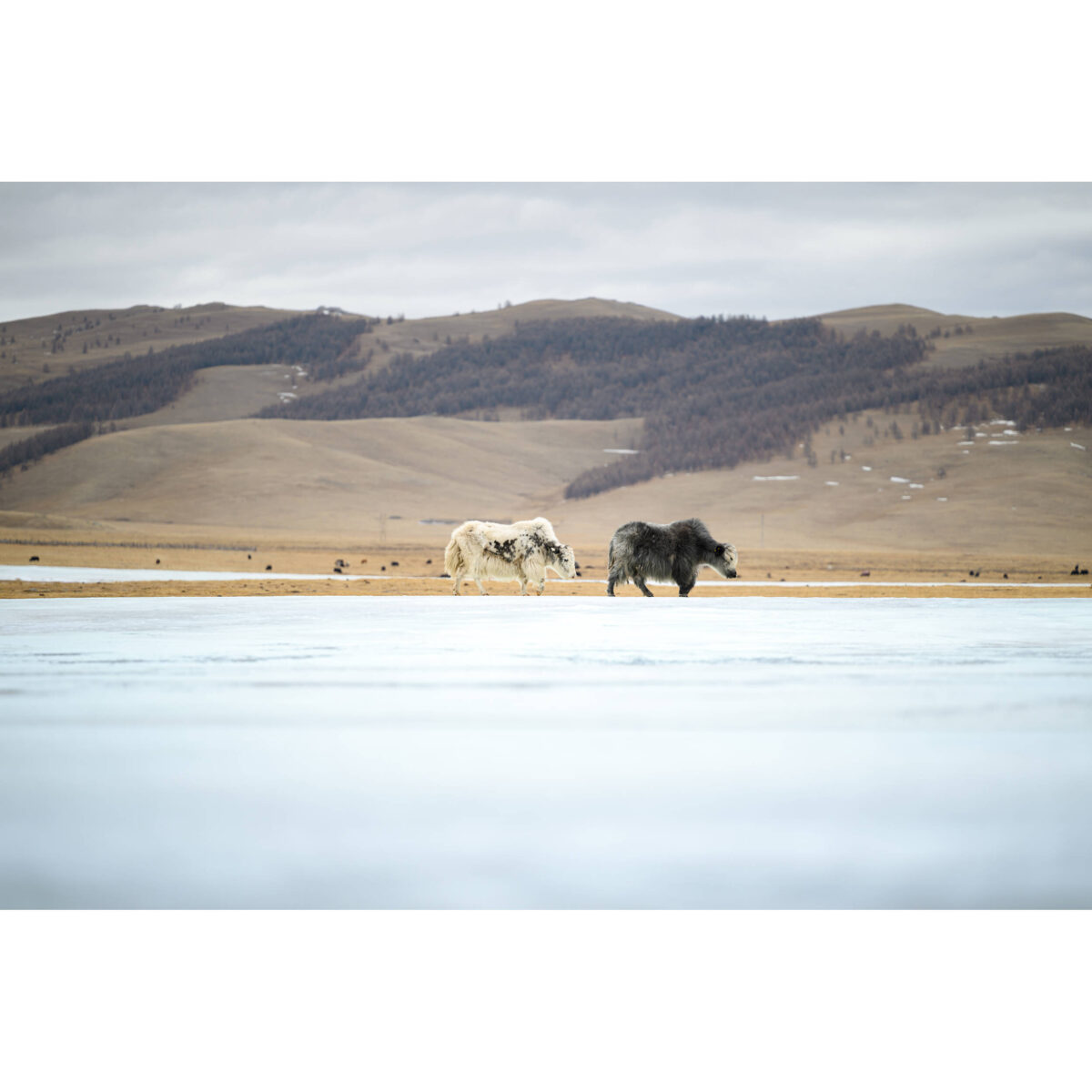 TAMRON 70-180mm F/2.8 Di III VC VXD G2 p/ Nikon Z - Imagen 12