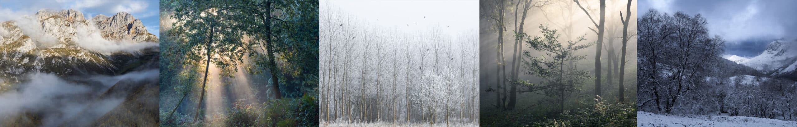 Trabalhos de Mário Cunha, formador do workshop fotografia de natureza em sintra