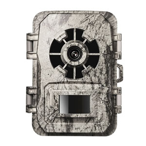 Foto-Armadilhagem_Subcategoria