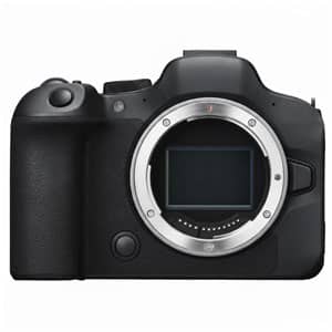 Mirrorless_Subcategoria