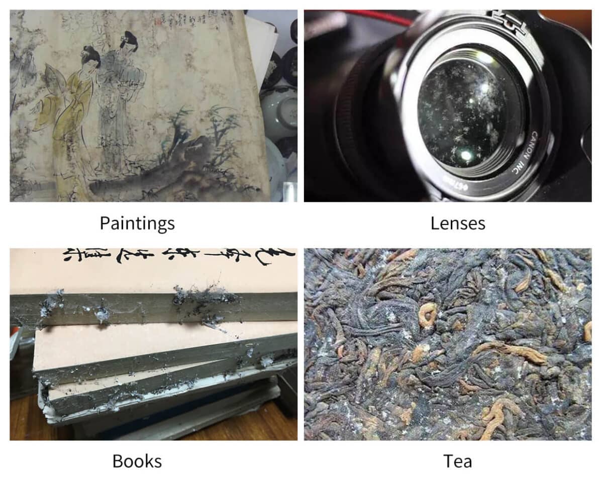 SIRUI HC-80x – Cabine Controladora de Humidade – 80L - Imagem 10