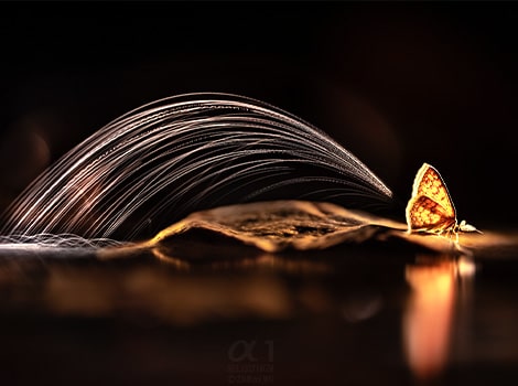 kay0402ogmg 1756694333373