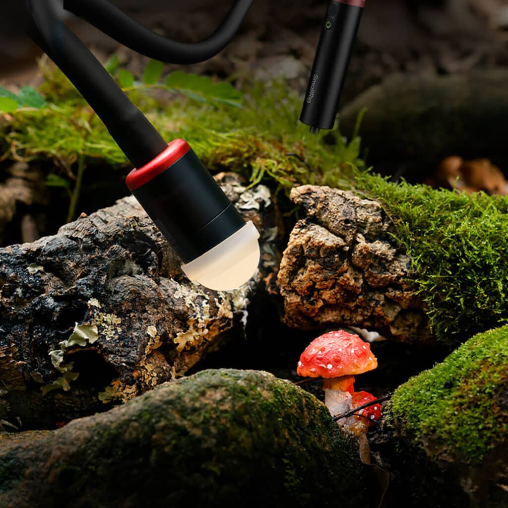 phmtr7czsgs 1755082751723