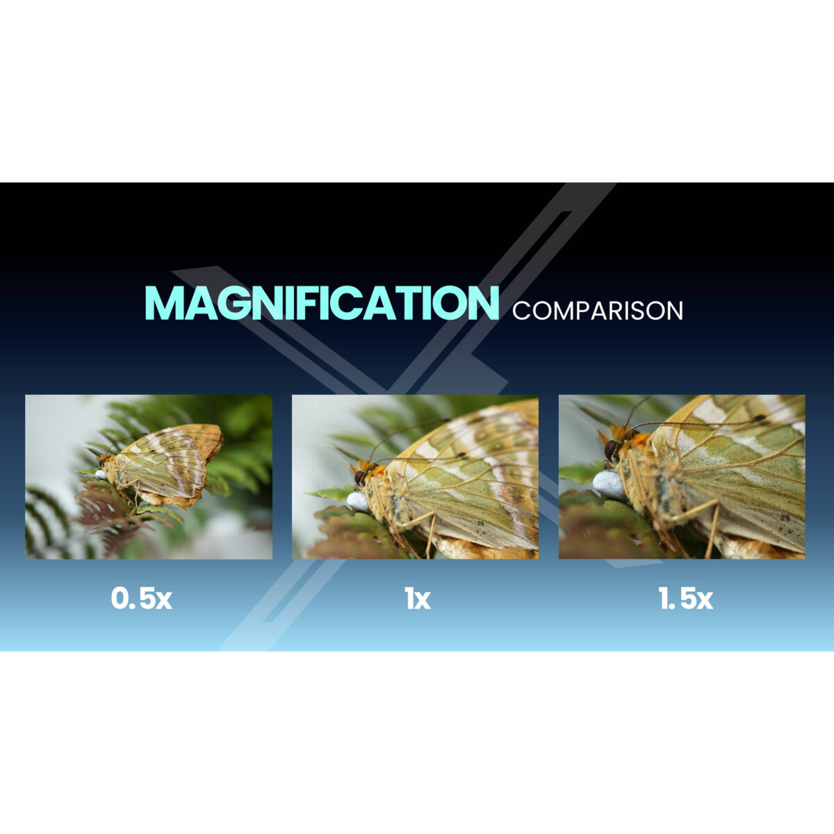 LAOWA 180mm f/4.5 1.5X Ultra Macro APO (Autofoco) - Imagen 7