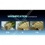 LAOWA 180mm f/4.5 1.5X Ultra Macro APO (Autofoco) - Imagen 7