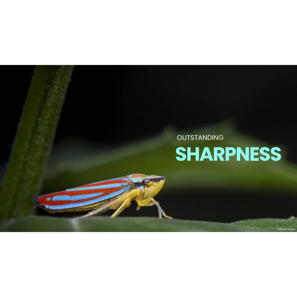 1758016576 IMG 2574848