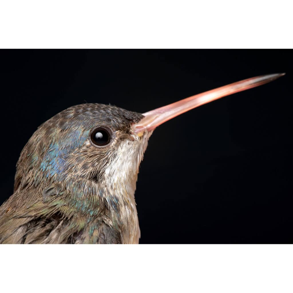 1758016576 IMG 2574852