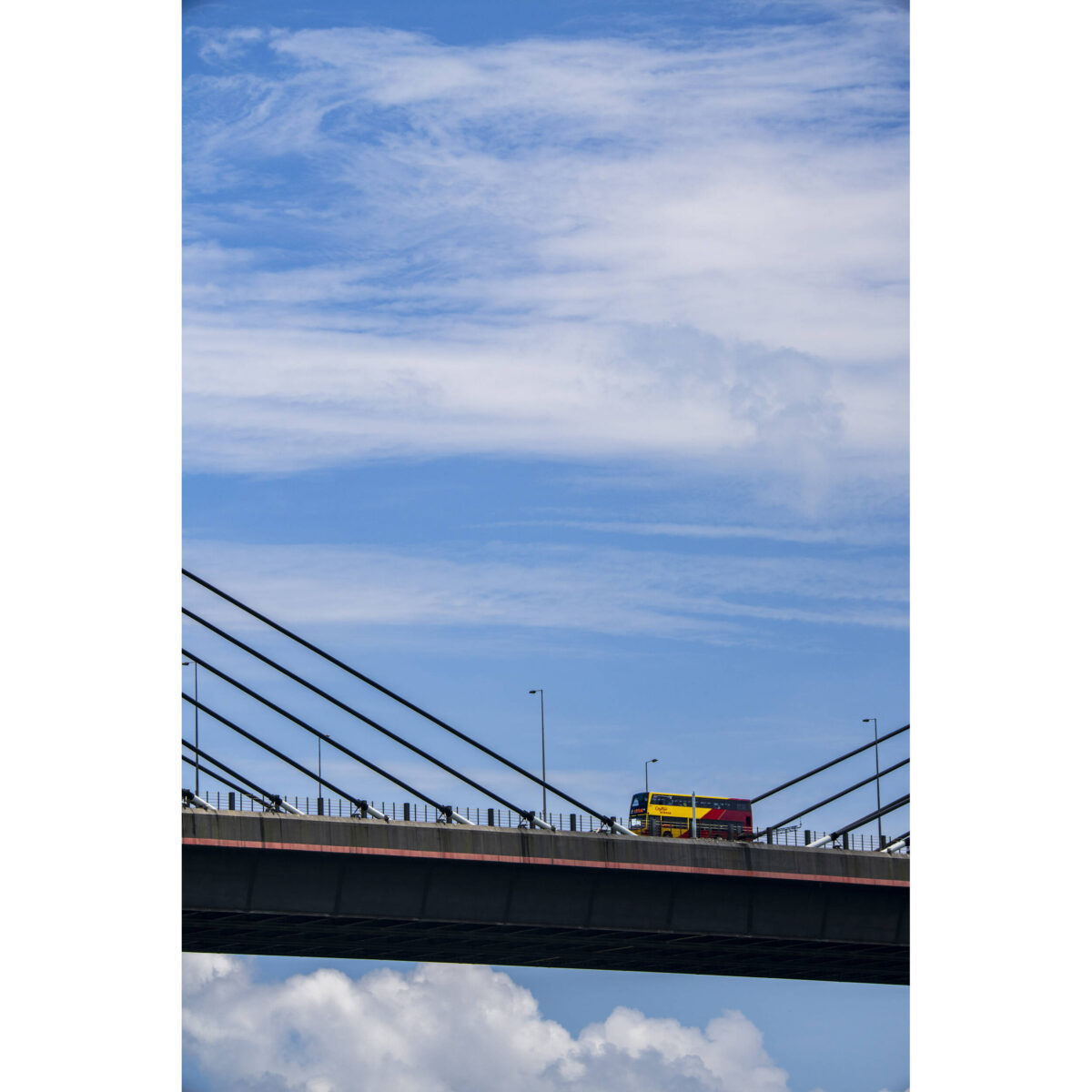 LAOWA 180mm f/4.5 1.5X Ultra Macro APO (Autofoco) - Imagen 12