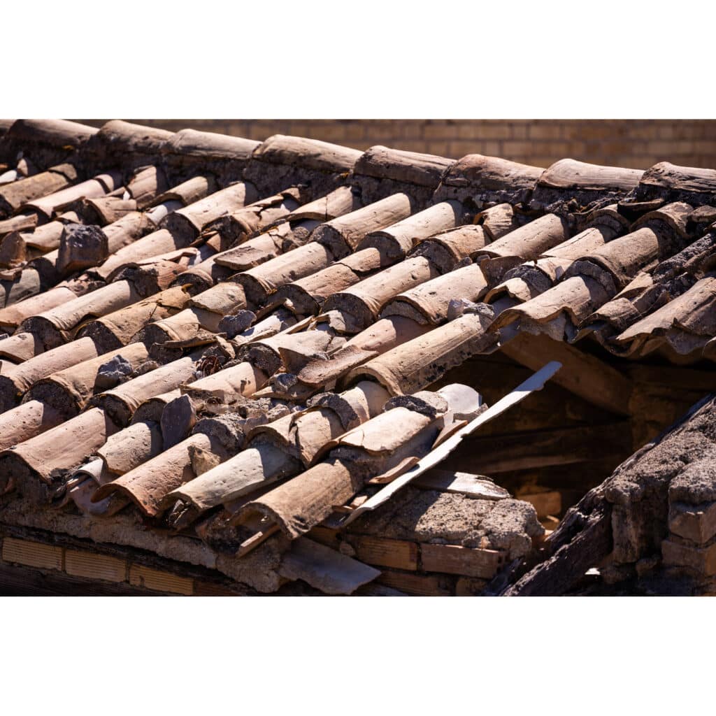 1758016576 IMG 2574858