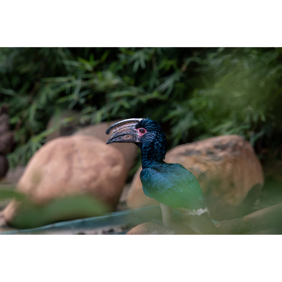 LAOWA 180mm f/4.5 1.5X Ultra Macro APO (Autofoco) - Imagen 16