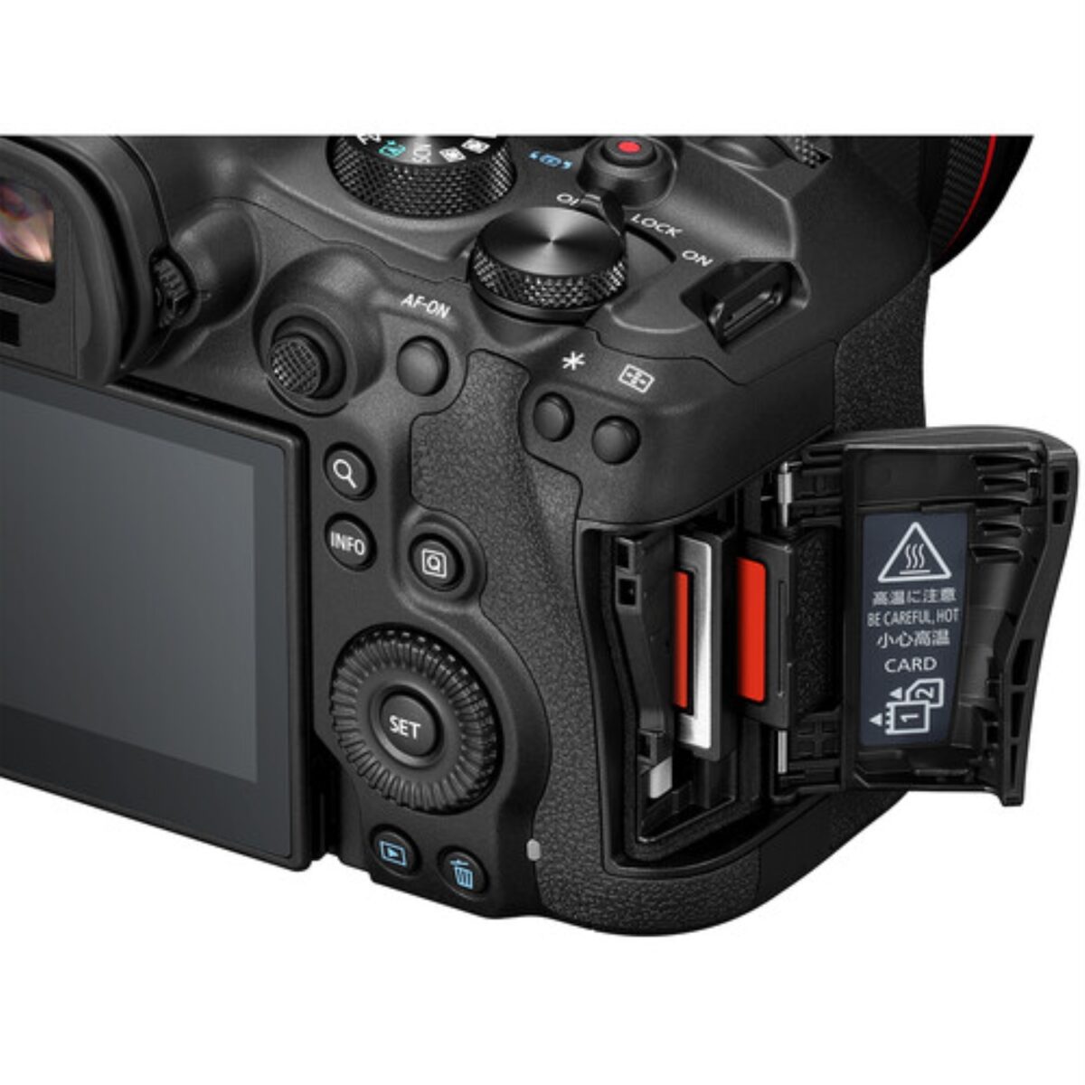 CANON EOS R6 Mark III + RF 24-105mm f/4-7.1 IS STM - Imagen 6