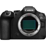 CANON EOS R6 Mark III + RF 24-70mm f/2.8L IS USM - Imagem 2