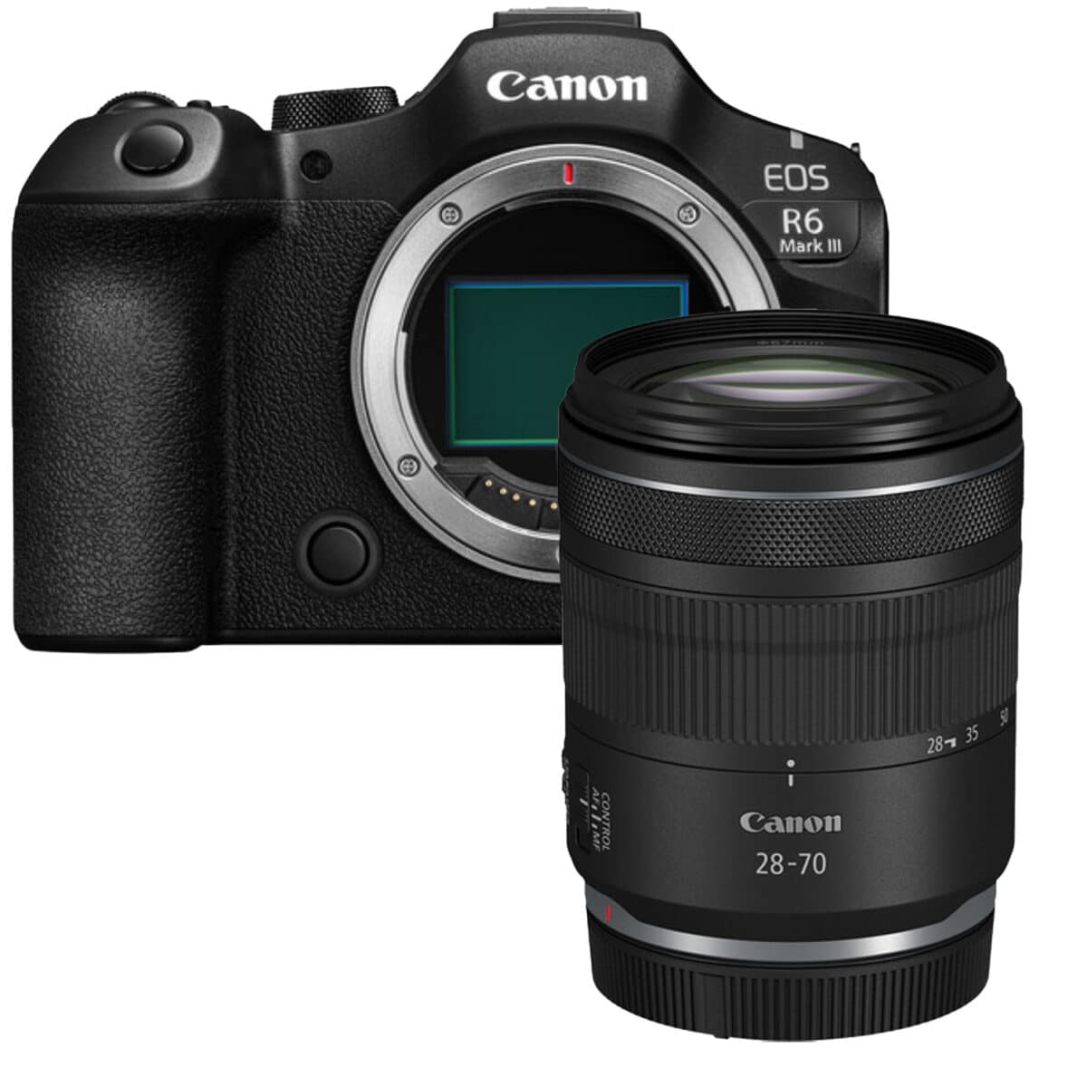 r6-28-70 CANON EOS R6 Mark III + RF 28-70mm f/2.8 IS STM - Imagen 1