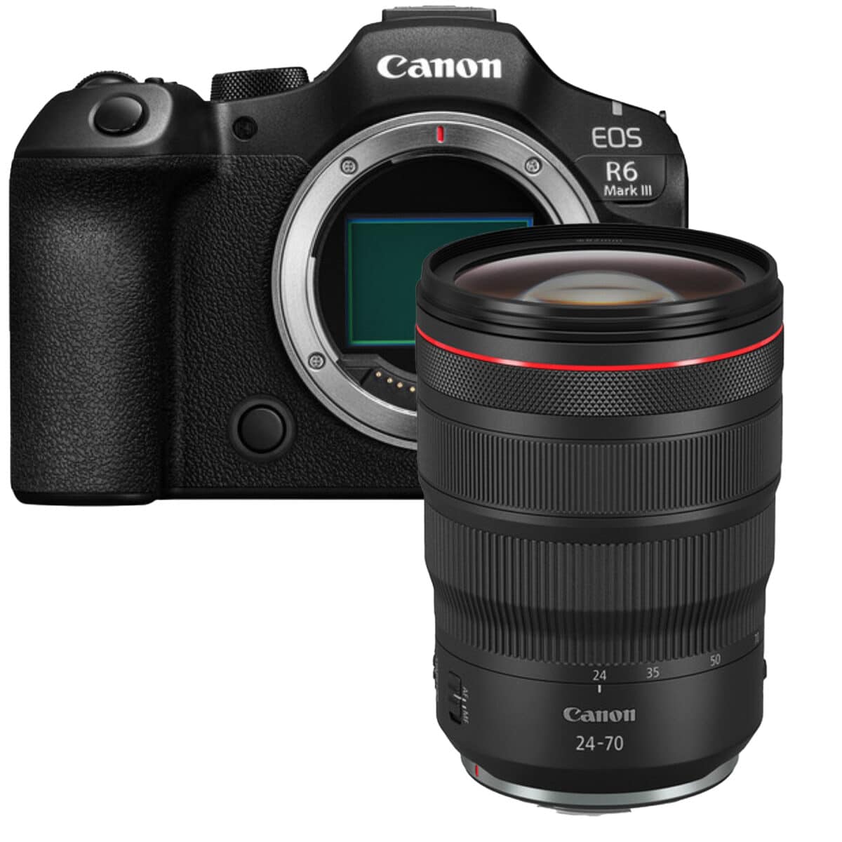 CANON EOS R6 Mark III + RF 24-70mm F2.8L IS USM - Imagen 1