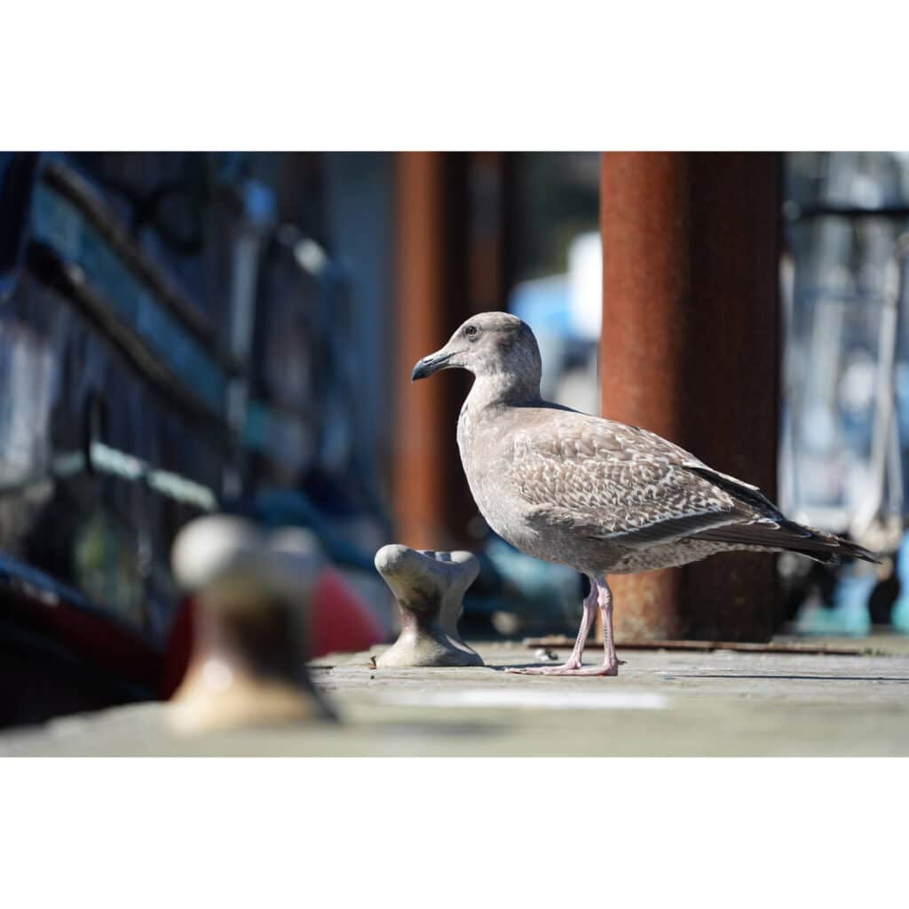 1764668775 IMG 2624272