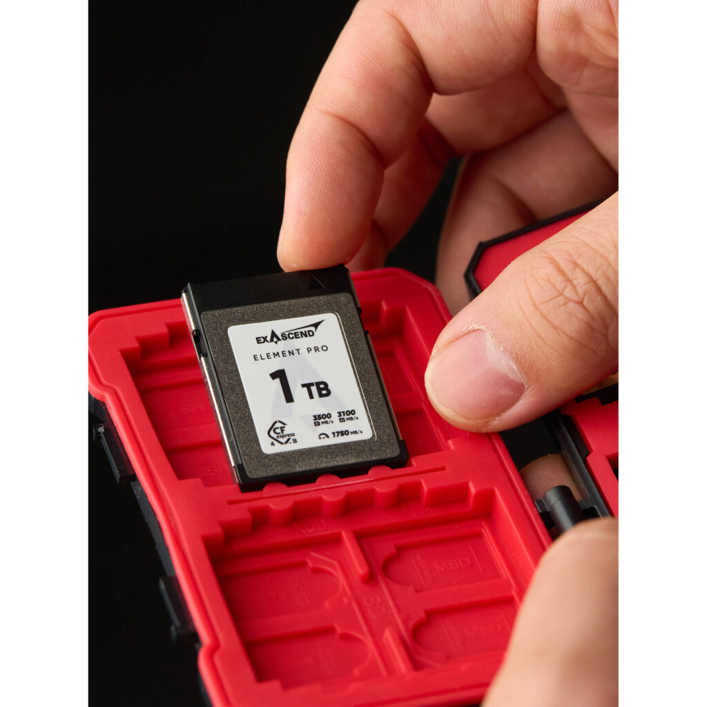 1723231985 IMG 2311881