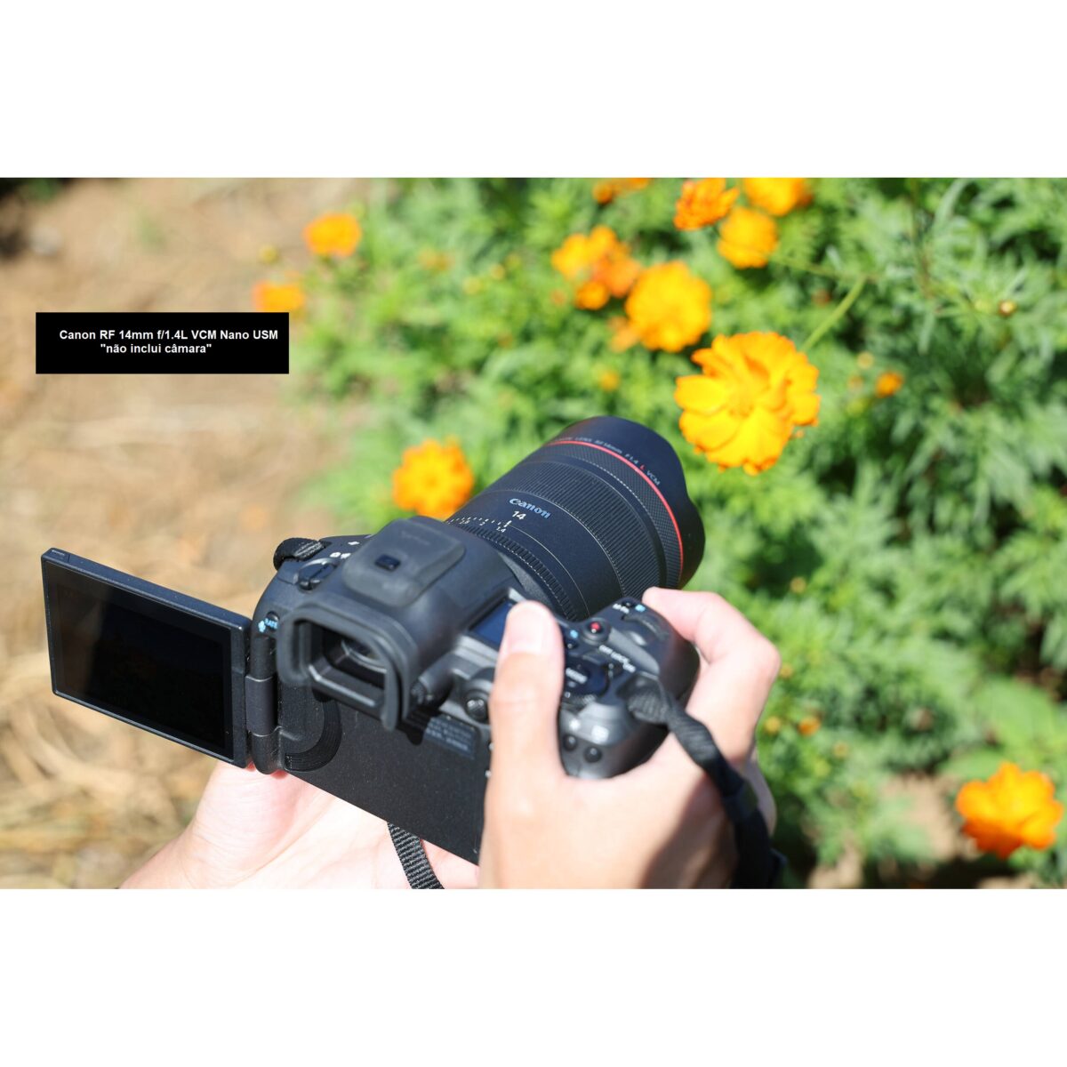 CANON RF 14mm f/1.4L VCM Nano USM - Imagen 16