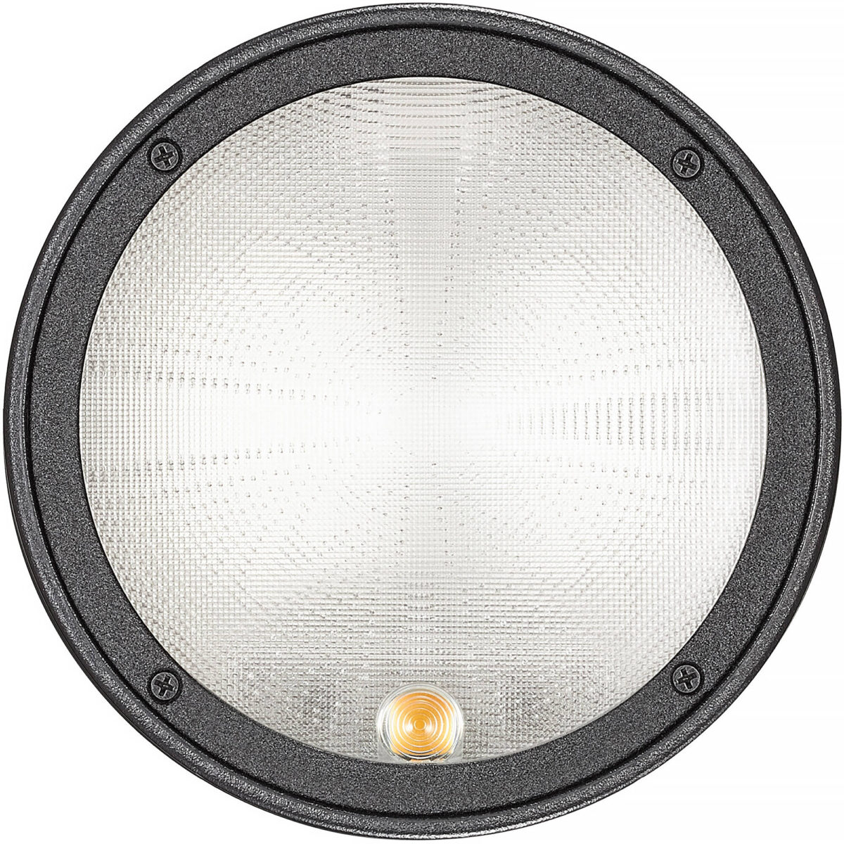 GODOX AD100Pro II Witstro Pocket Flash - Imagem 9