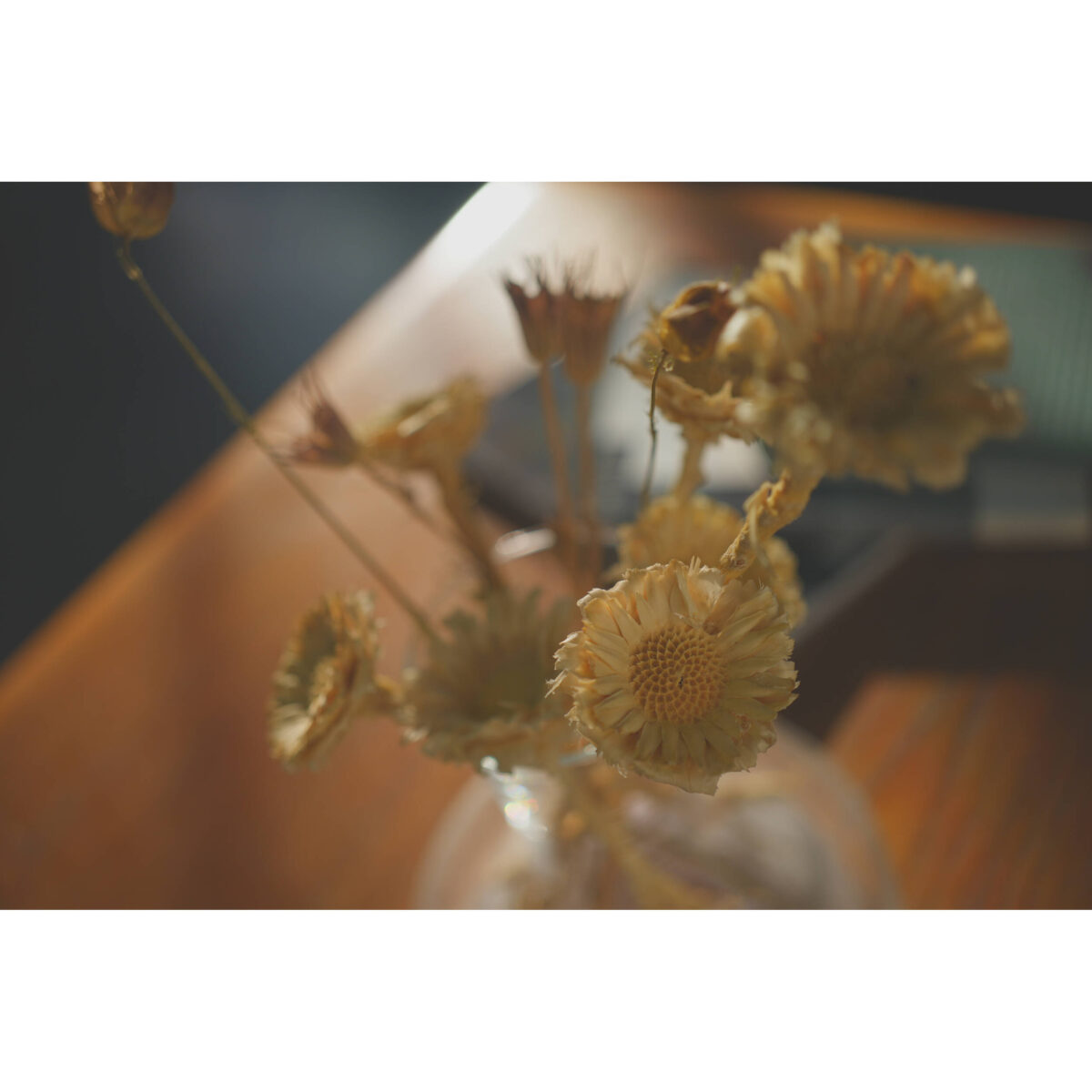 SONY Alpha a7C II Silver + FE 28-60mm f/4-5.6 - Imagem 20