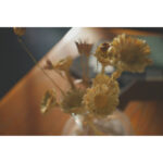 SONY Alpha a7C II Silver + FE 28-60mm f/4-5.6 - Imagem 20