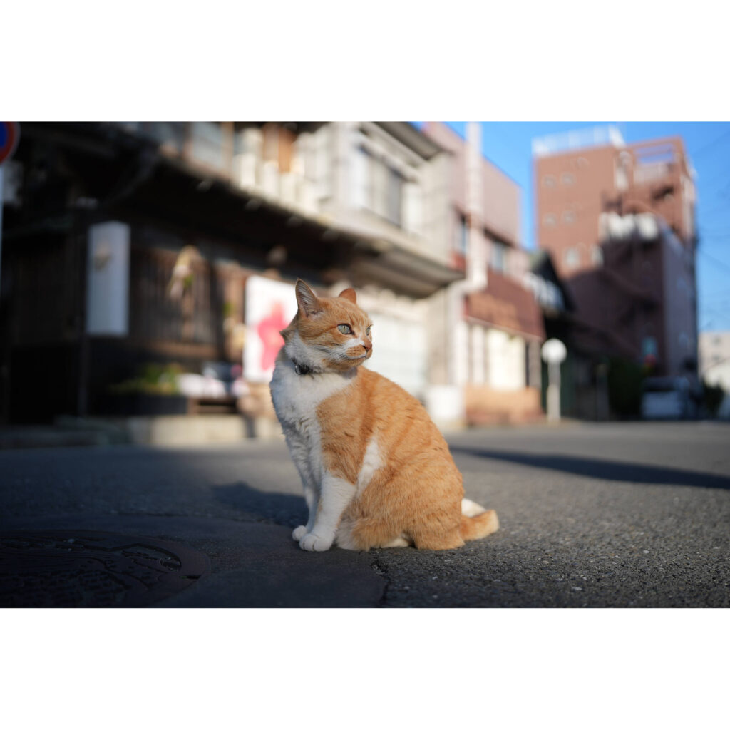 1771890730 IMG 2682312