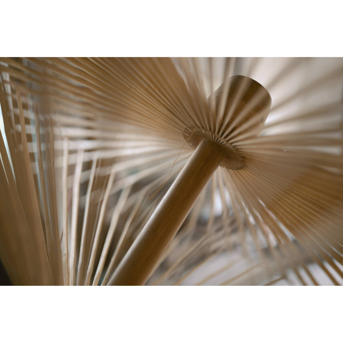 SIGMA 35mm f/1.4 DG II Art L-Mount - Imagem 9