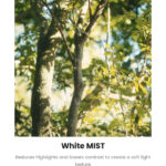 MOFAGE White Mist 1/4 Drop-In Filtro para Adaptador POCO - Imagem 6