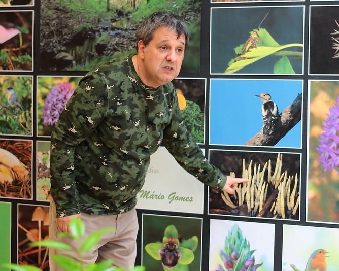Exposição de Macrofotografia com Mário Gomes