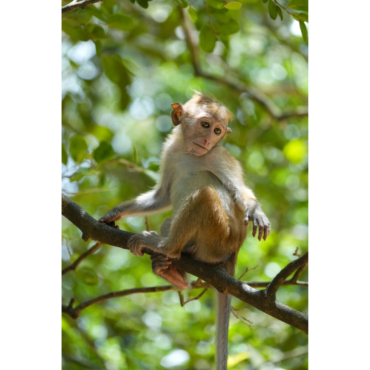 Sony RX10 V - Imagem 35