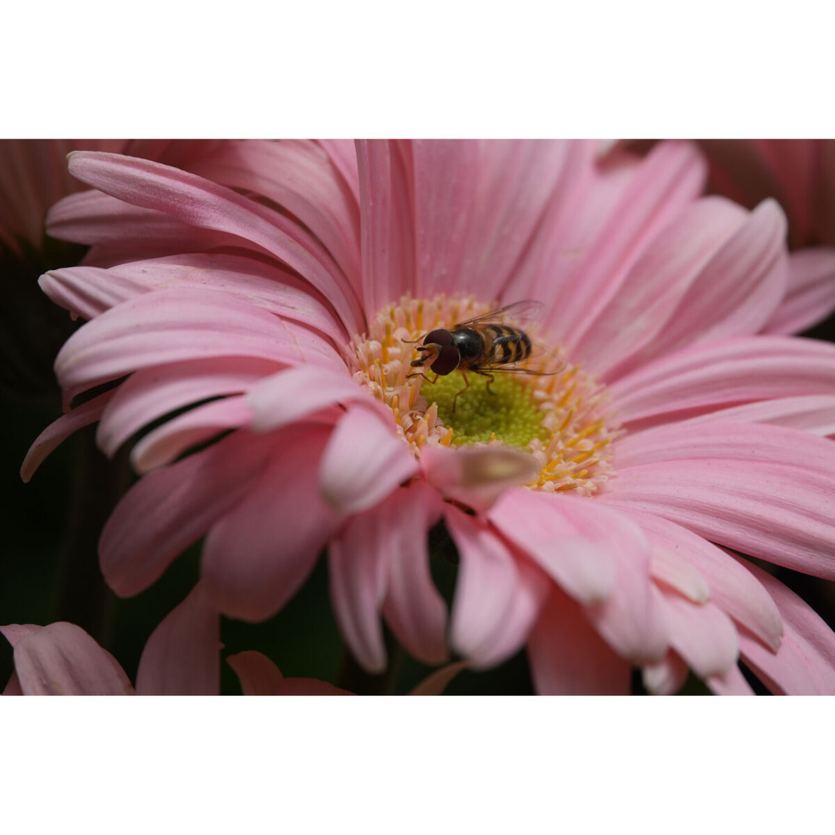 Sony RX10 V - Imagem 36