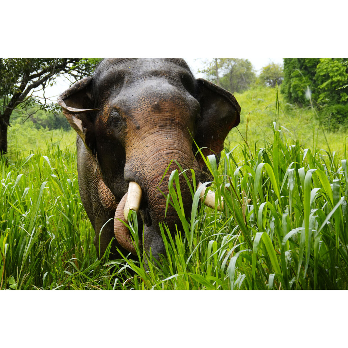 Sony RX10 V - Imagem 37