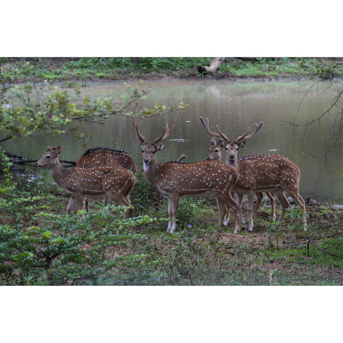 Sony RX10 V - Imagem 43