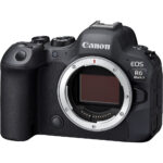 CANON EOS R6 Mark II - Imagem 7