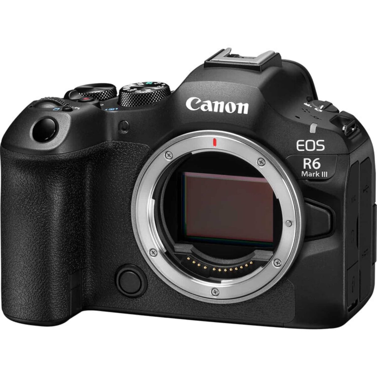 Canon EOS R6 Mark III - Imagem 3