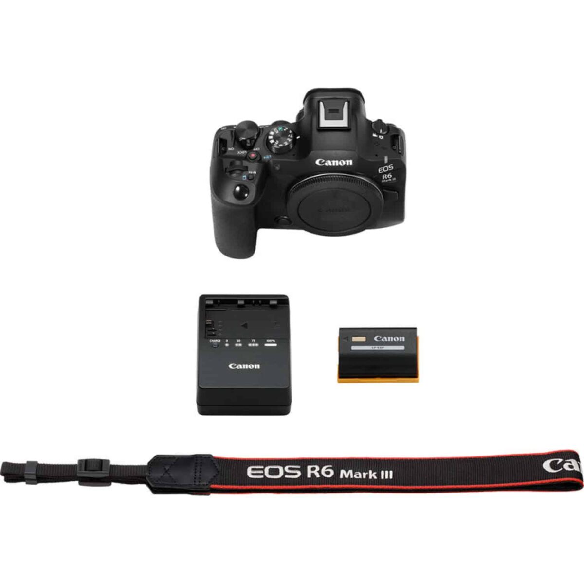 Canon EOS R6 Mark III - Imagem 8