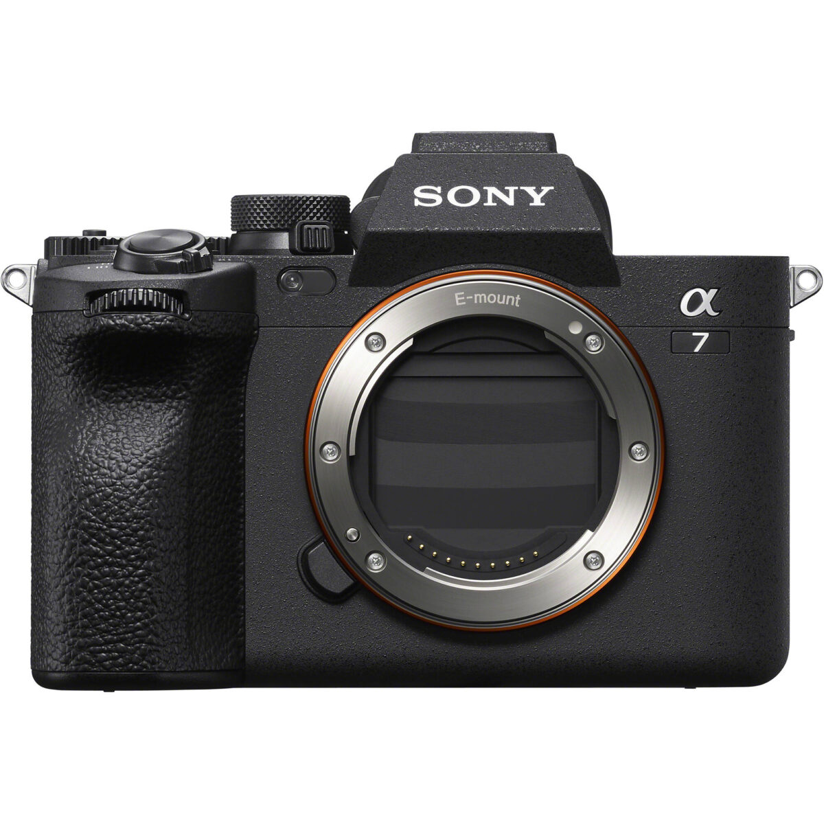 SONY Alpha a7 IV - Imagem 9