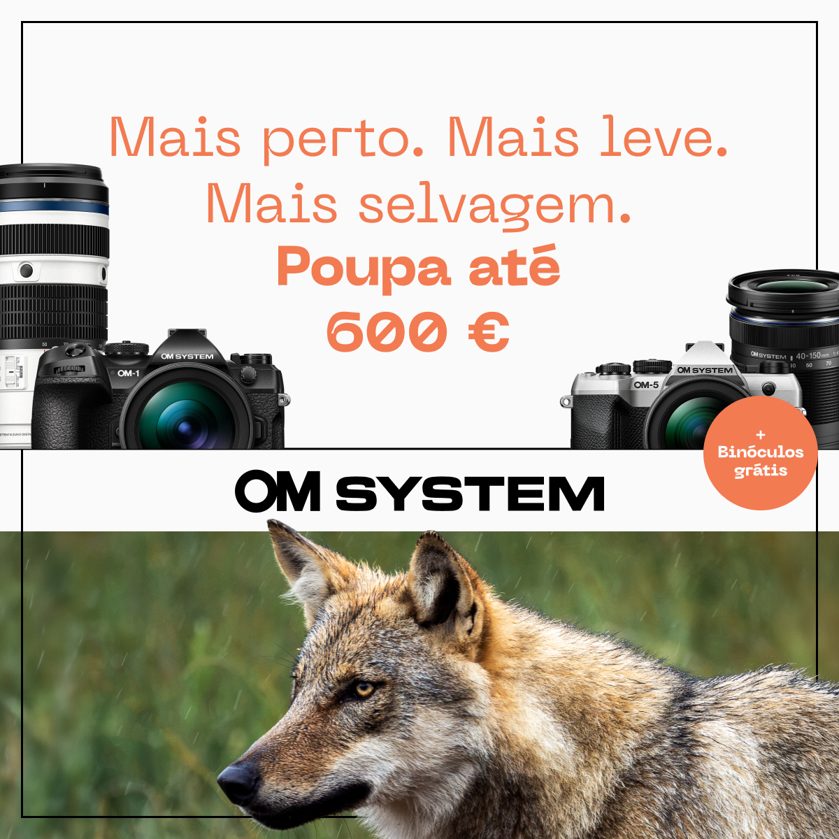 OM SYSTEM – Campanha de Reembolso até 600€